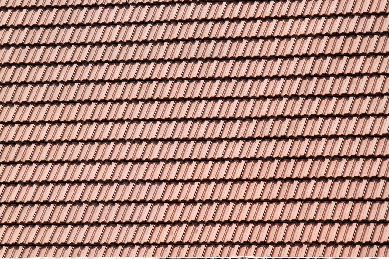 Nettoyage et démoussage de toiture tuiles à Versailles